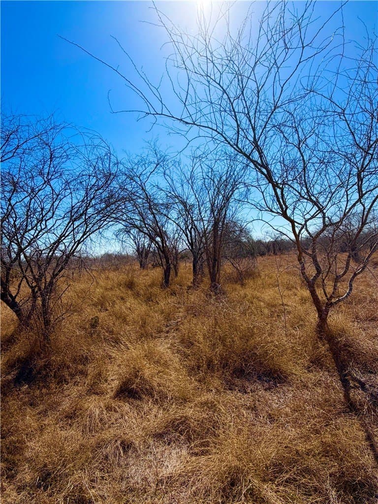 12.13 acres in Duval County - photo 28