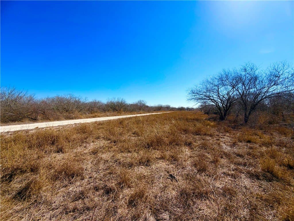 12.13 acres in Duval County - photo 30