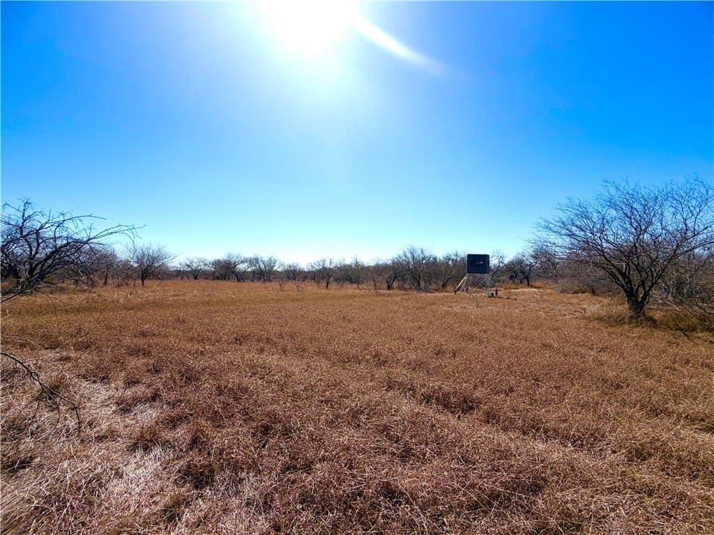 12.13 acres in Duval County - photo 12