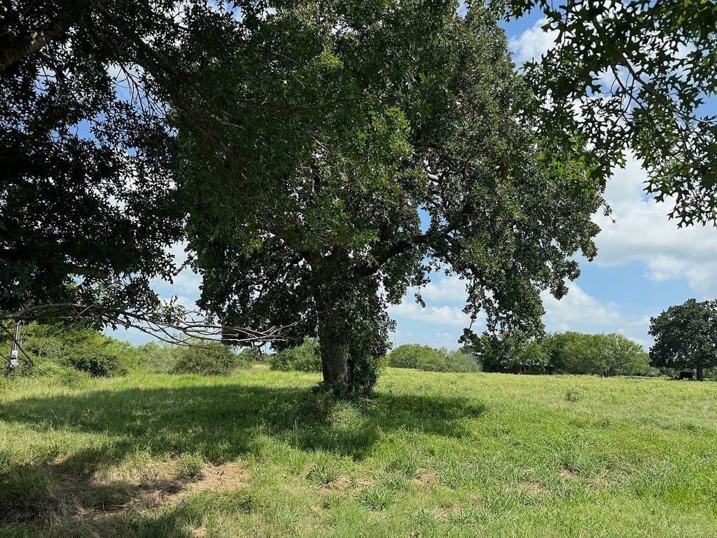 51 acres in Fayette County - photo 8