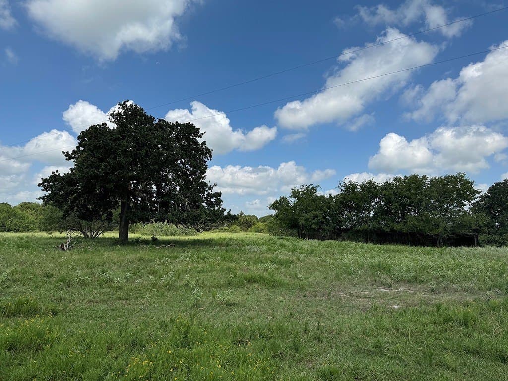 51 acres in Fayette County - photo 11