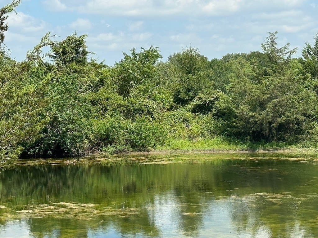 51 acres in Fayette County - photo 3