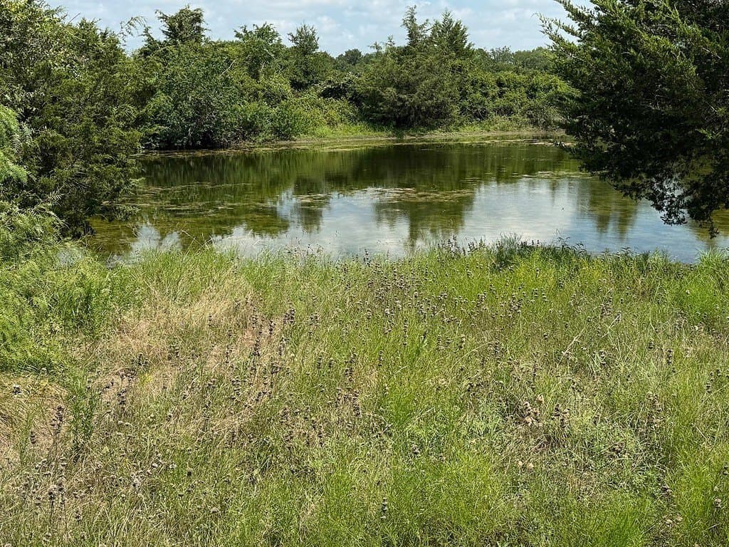 51 acres in Fayette County - photo 4