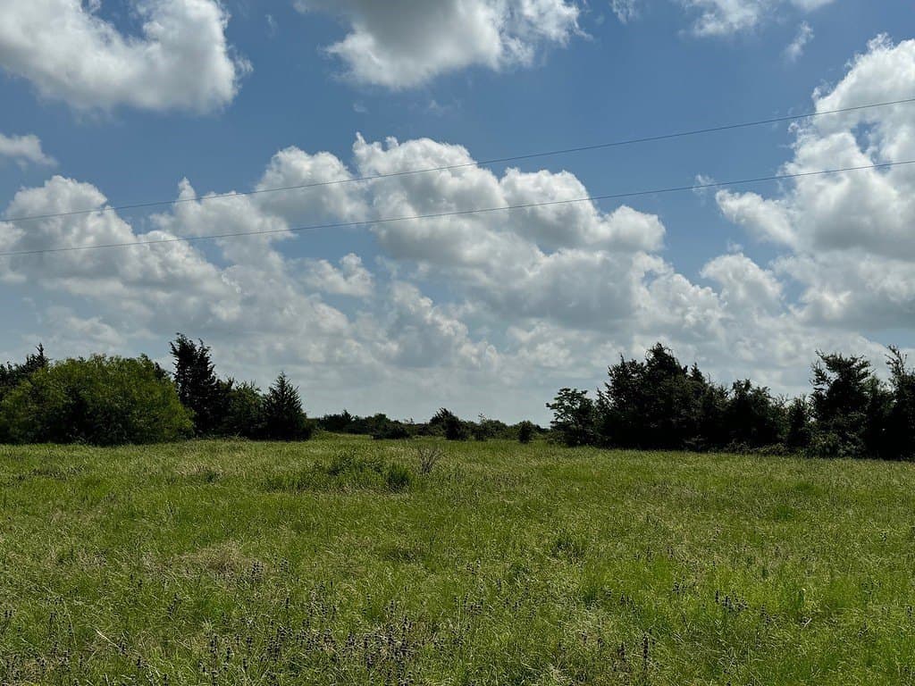 51 acres in Fayette County - photo 5