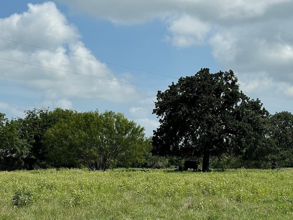 51 acres in Fayette County - photo 7