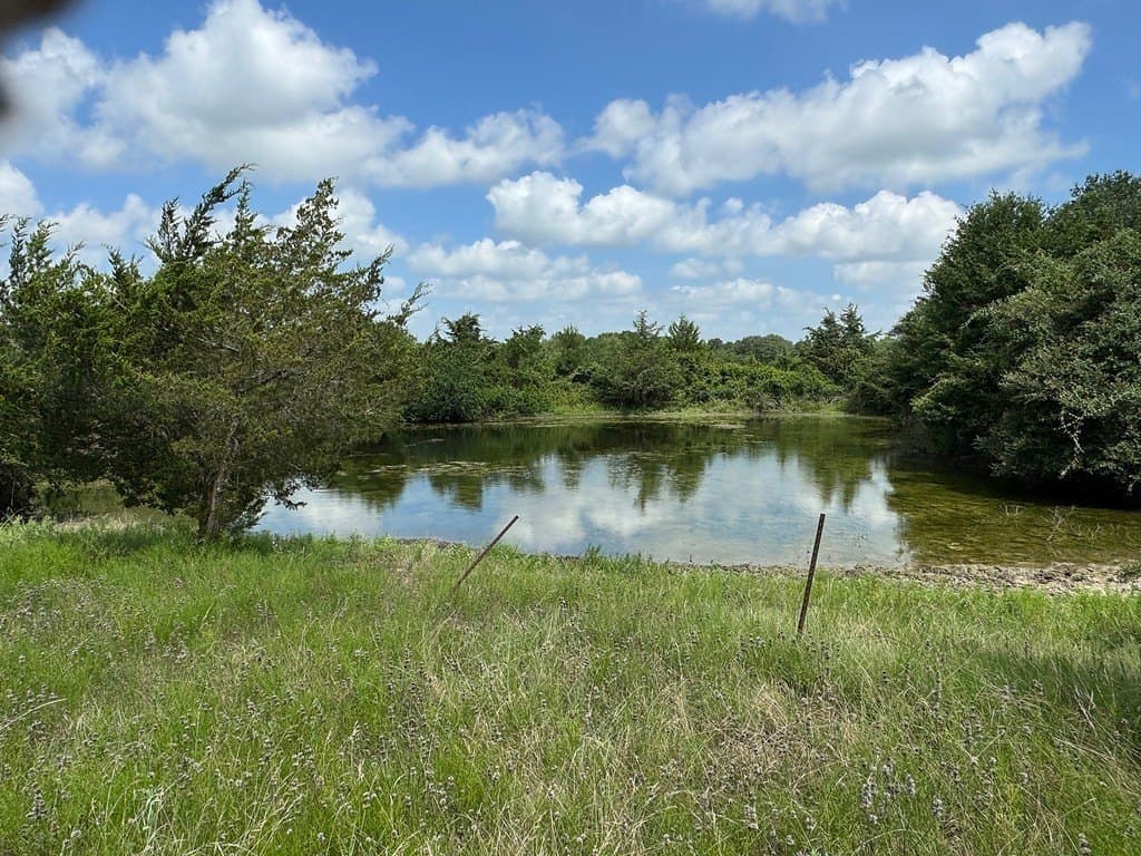 51 acres in Fayette County - photo 2