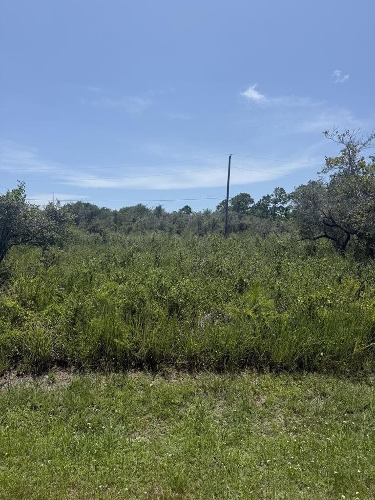 0.23 acres in Texas County - photo 2