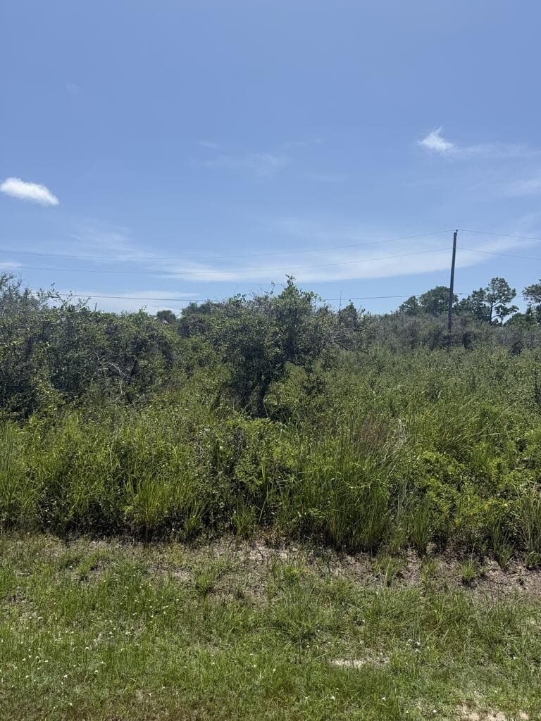0.23 acres in Texas County