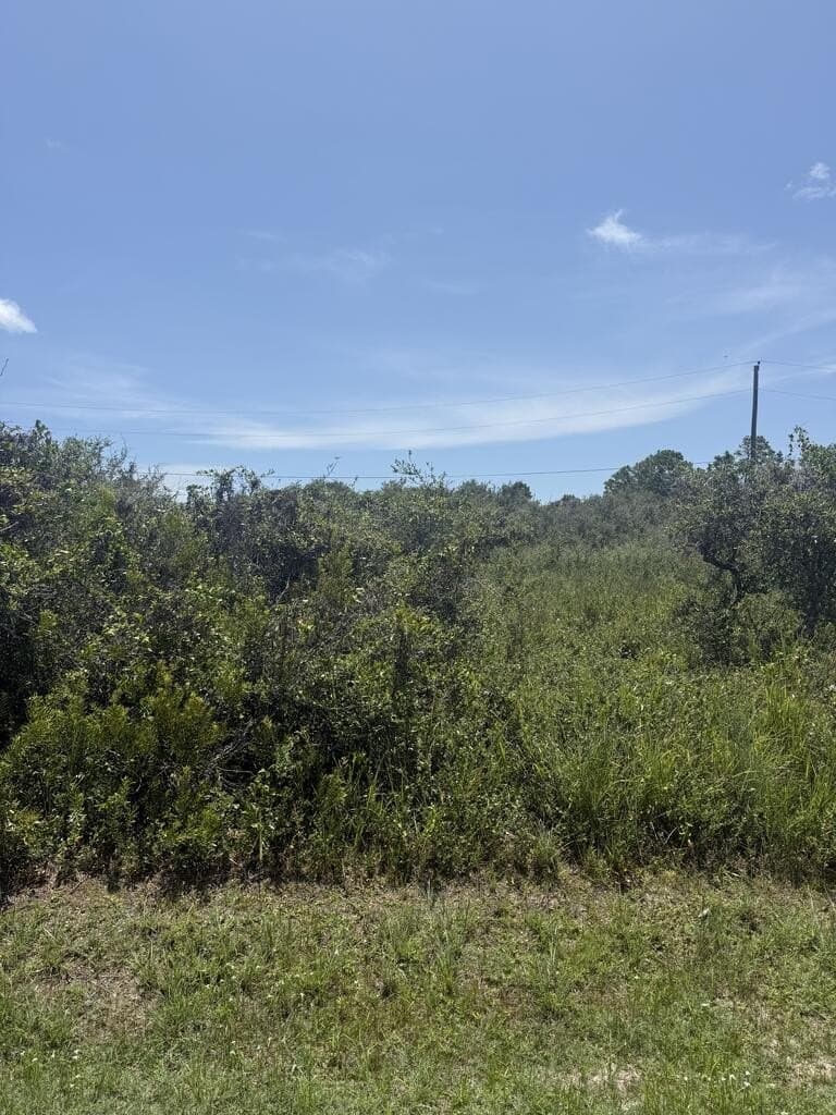 0.23 acres in Texas County - photo 3