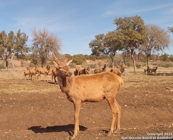 5.02 acres in Bandera County - photo 19