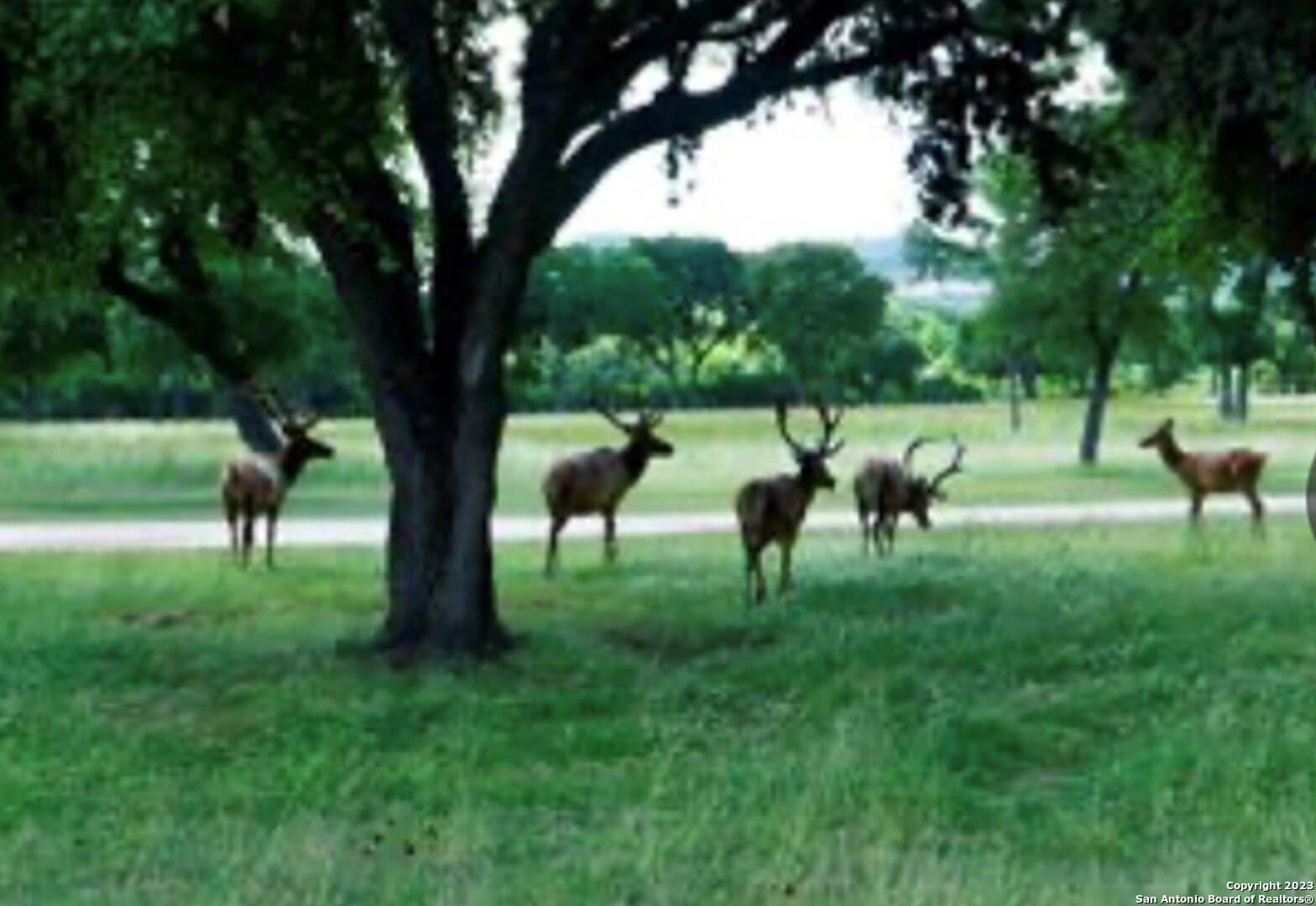 5.02 acres in Bandera County - photo 31