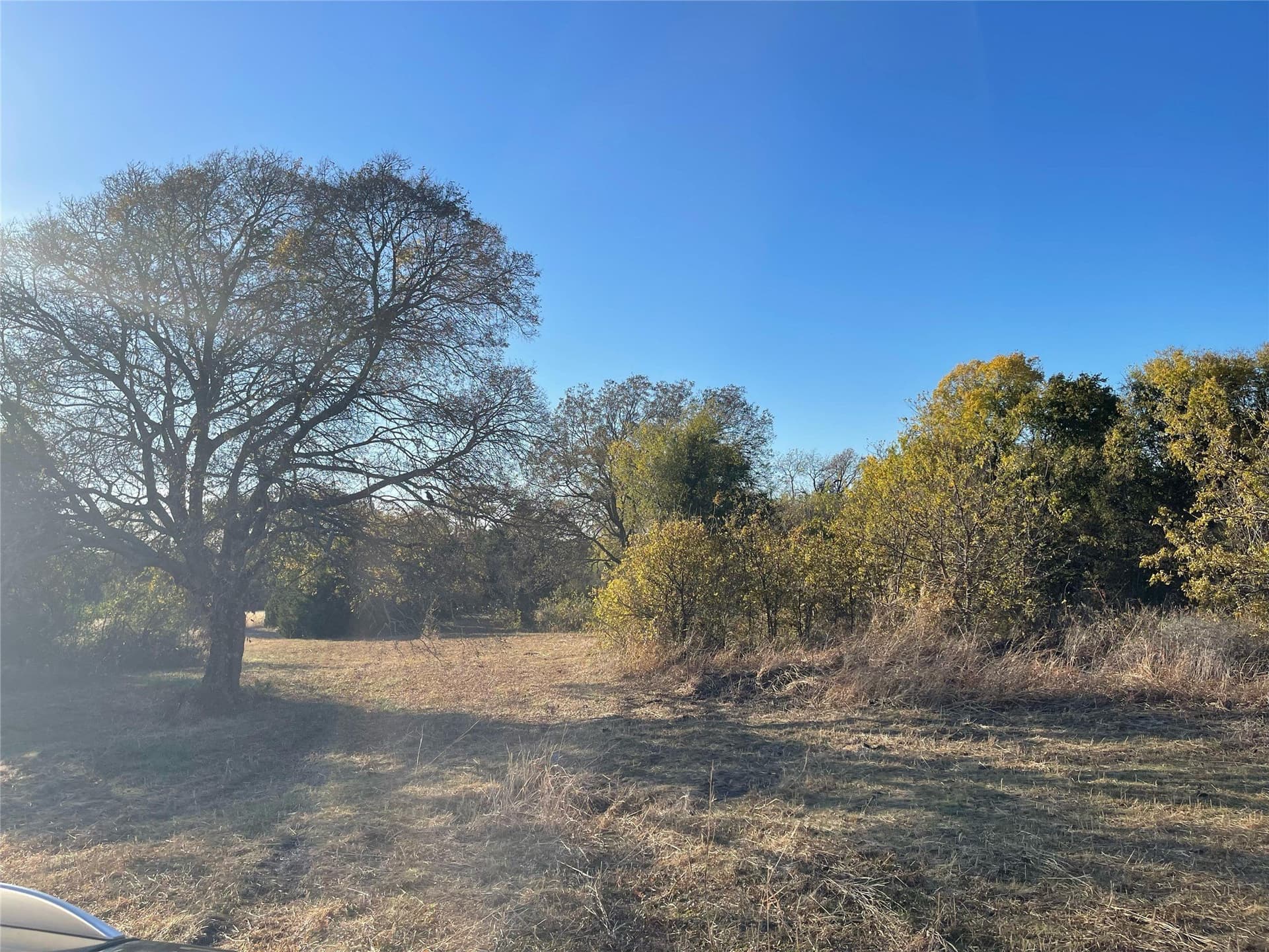 3 acres in Dallas County - photo 7