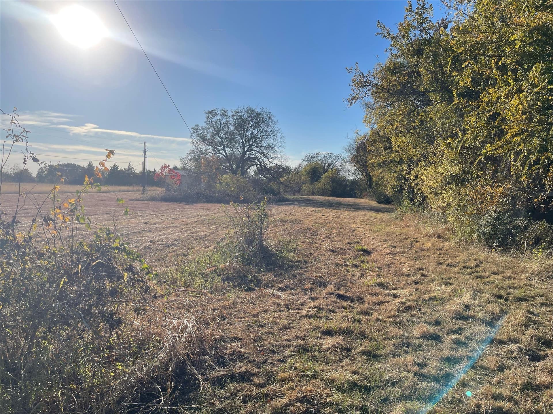 3 acres in Dallas County - photo 6
