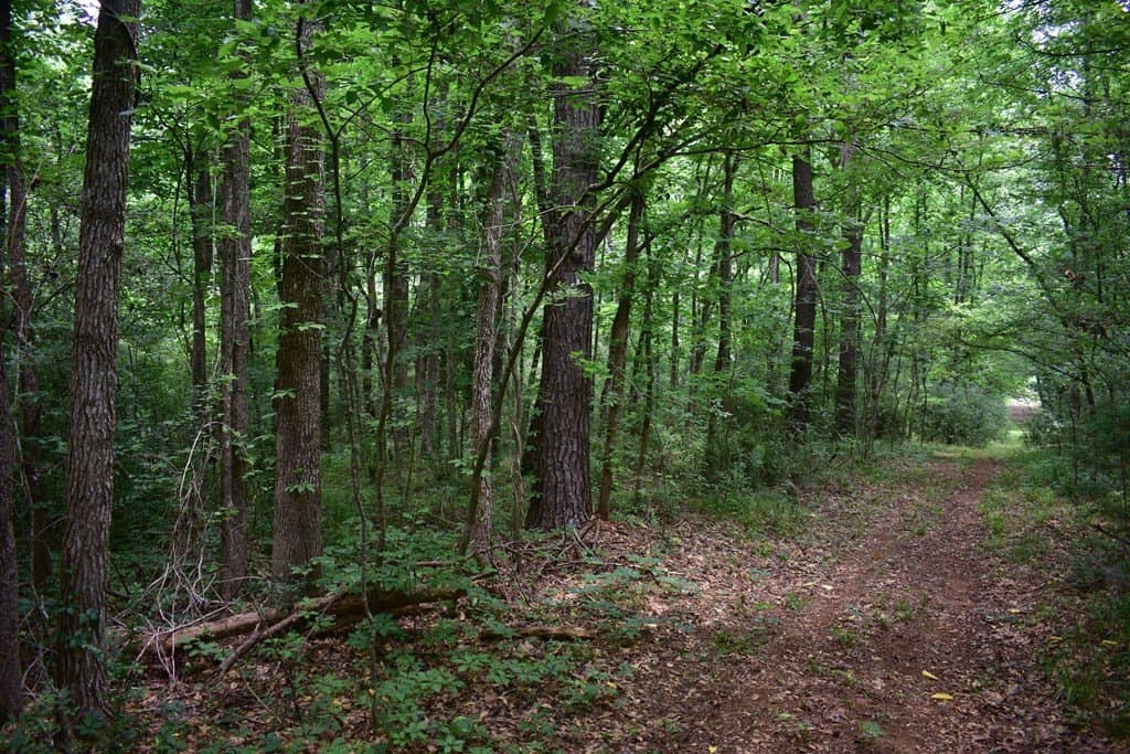 5.21 acres in Texas County gallery image 4