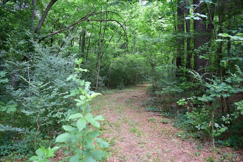5.21 acres in Texas County gallery image 2