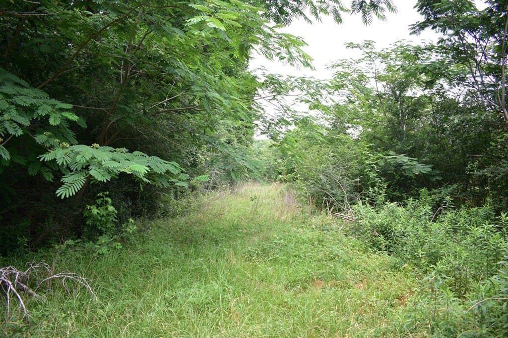5.21 acres in Texas County featured view