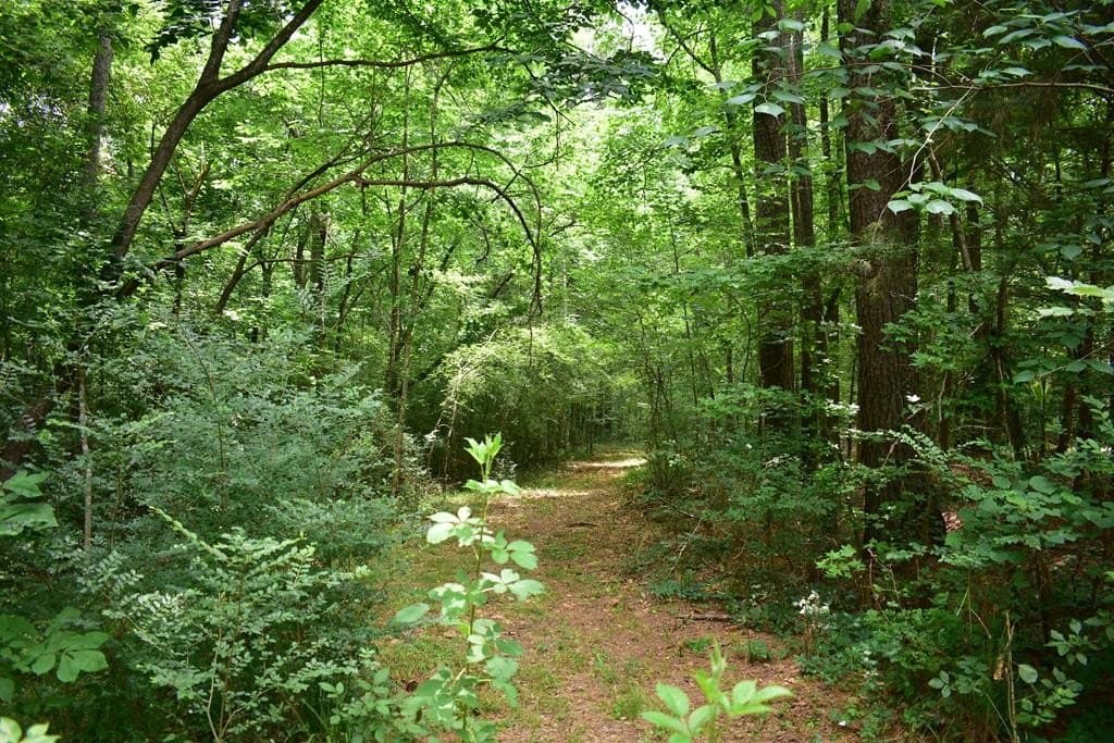 5.21 acres in Texas County