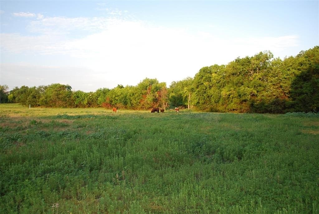 1.94 acres in Rockwall County gallery image 3