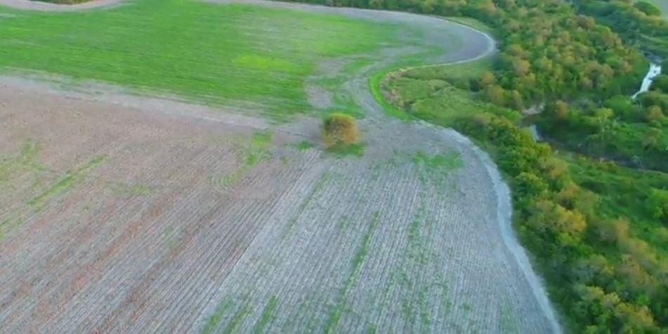 159.57 acres in Nueces County - photo 14