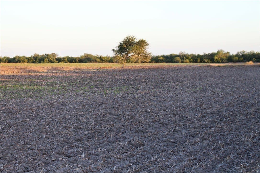 159.57 acres in Nueces County gallery image 4