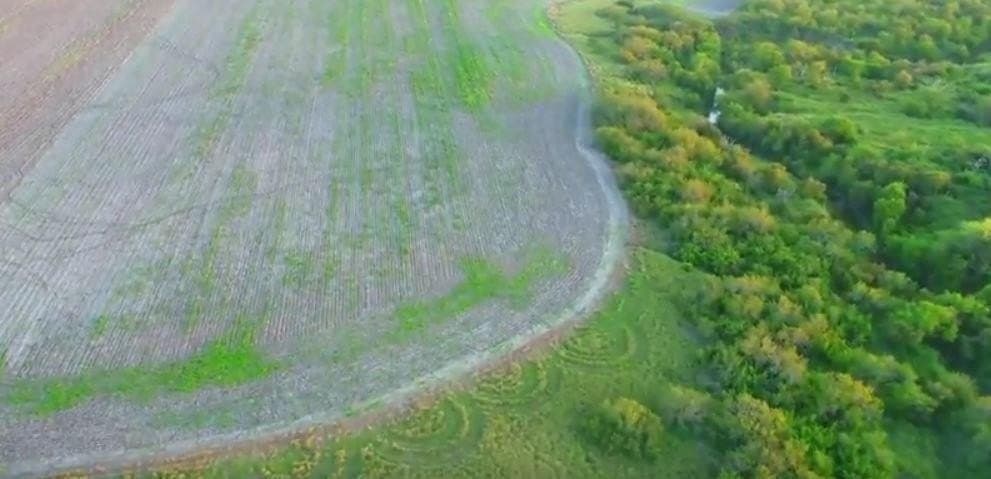 159.57 acres in Nueces County - photo 11