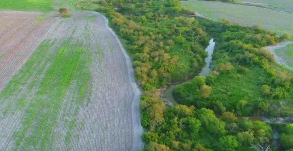 159.57 acres in Nueces County - photo 13