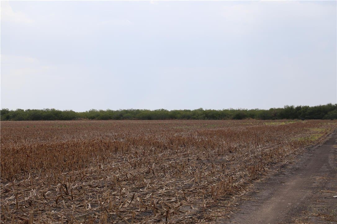 159.57 acres in Nueces County featured view