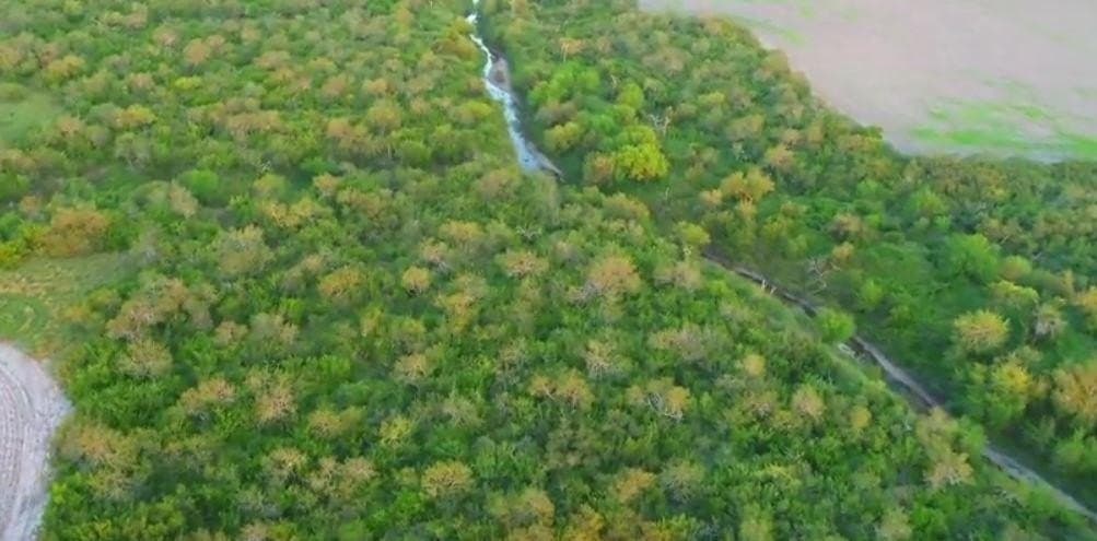159.57 acres in Nueces County - photo 15