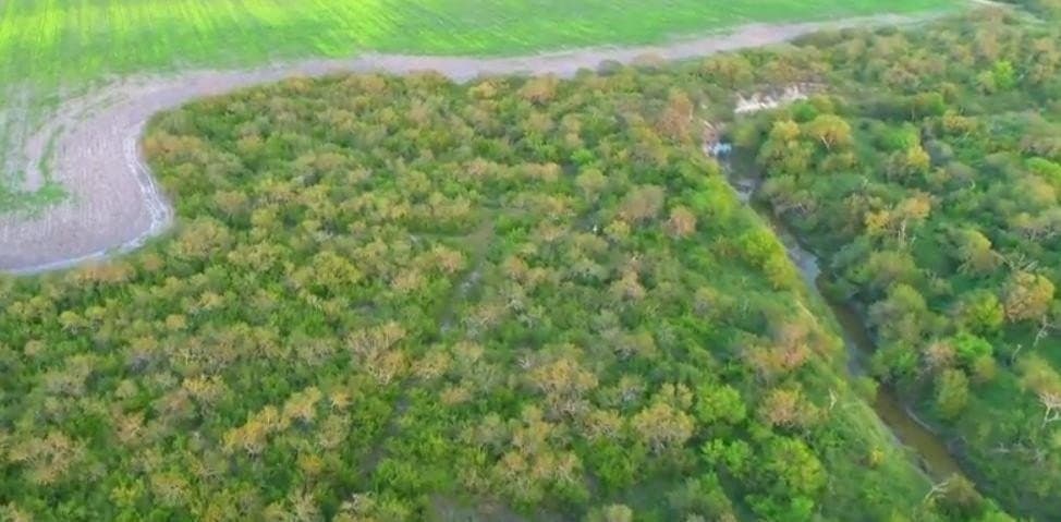 159.57 acres in Nueces County - photo 16