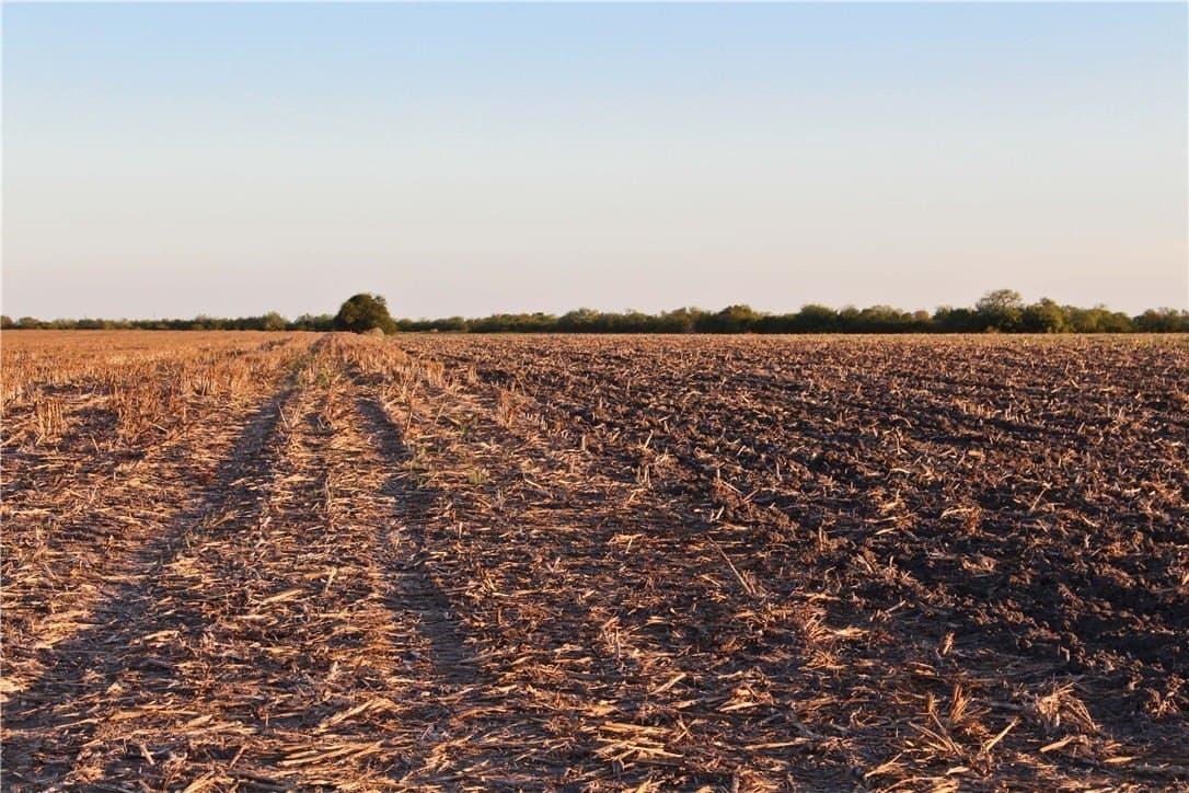 159.57 acres in Nueces County - photo 8