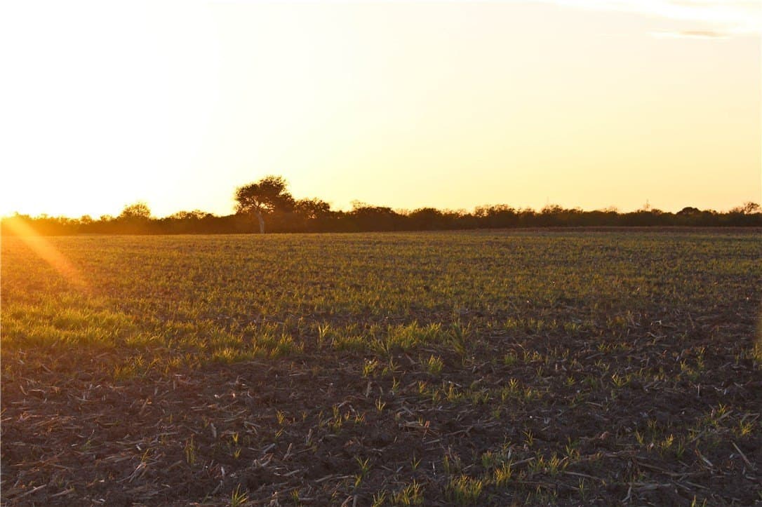 159.57 acres in Nueces County - photo 7