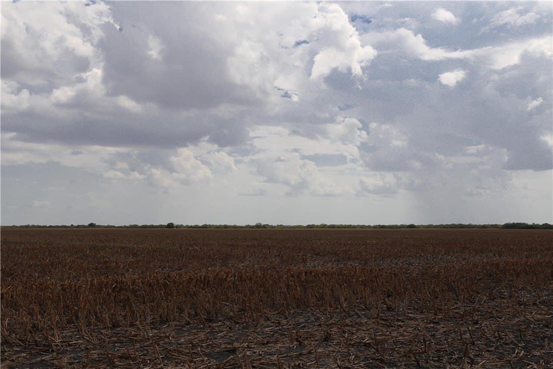 159.57 acres in Nueces County - photo 6