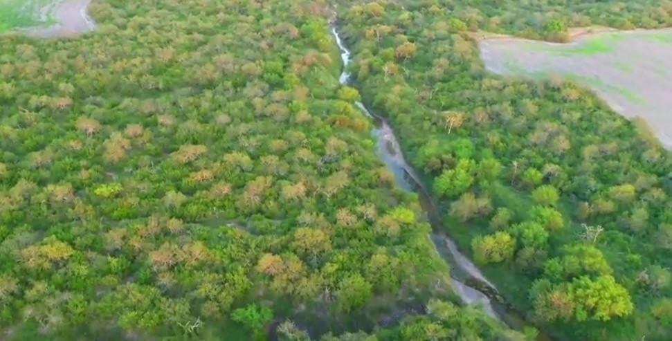 159.57 acres in Nueces County - photo 10
