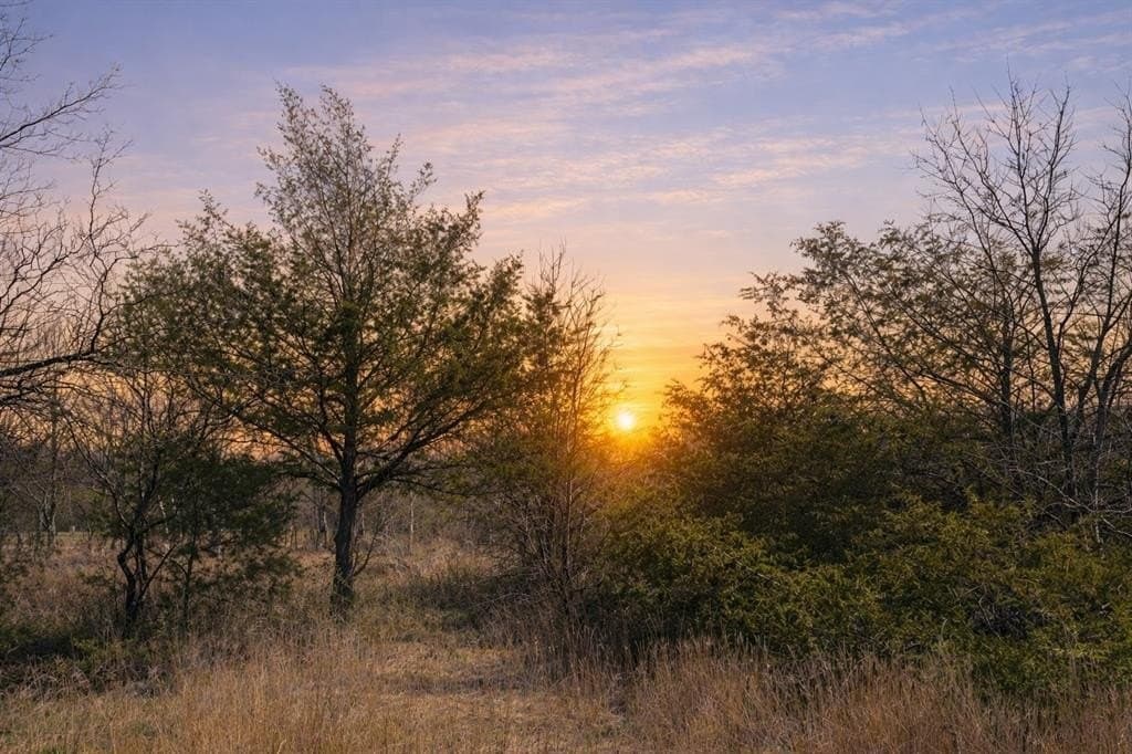 0.99 acres in Navarro County gallery image 2