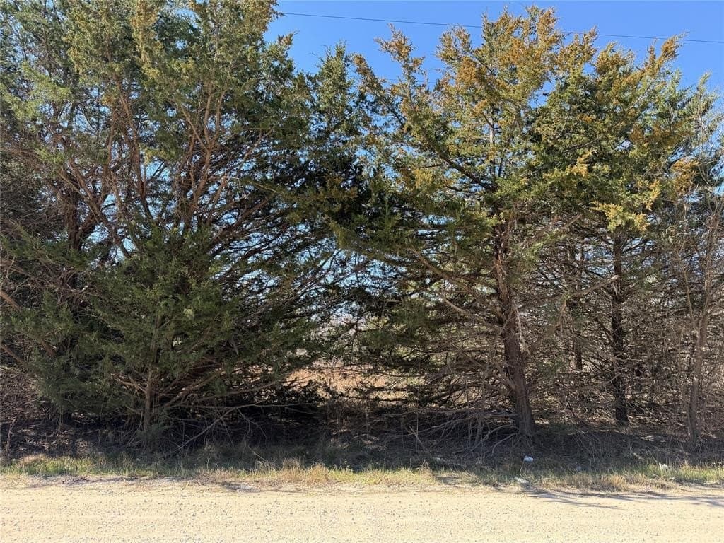 0.99 acres in Navarro County gallery image 4