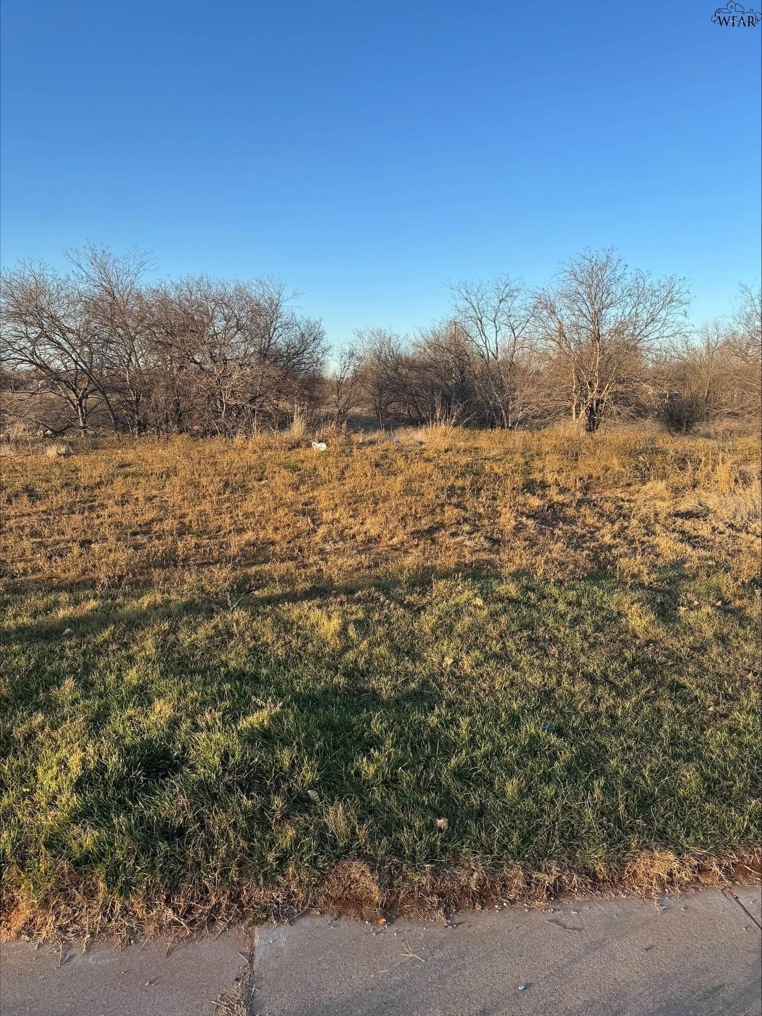 0.85 acres in Wichita County gallery image 2