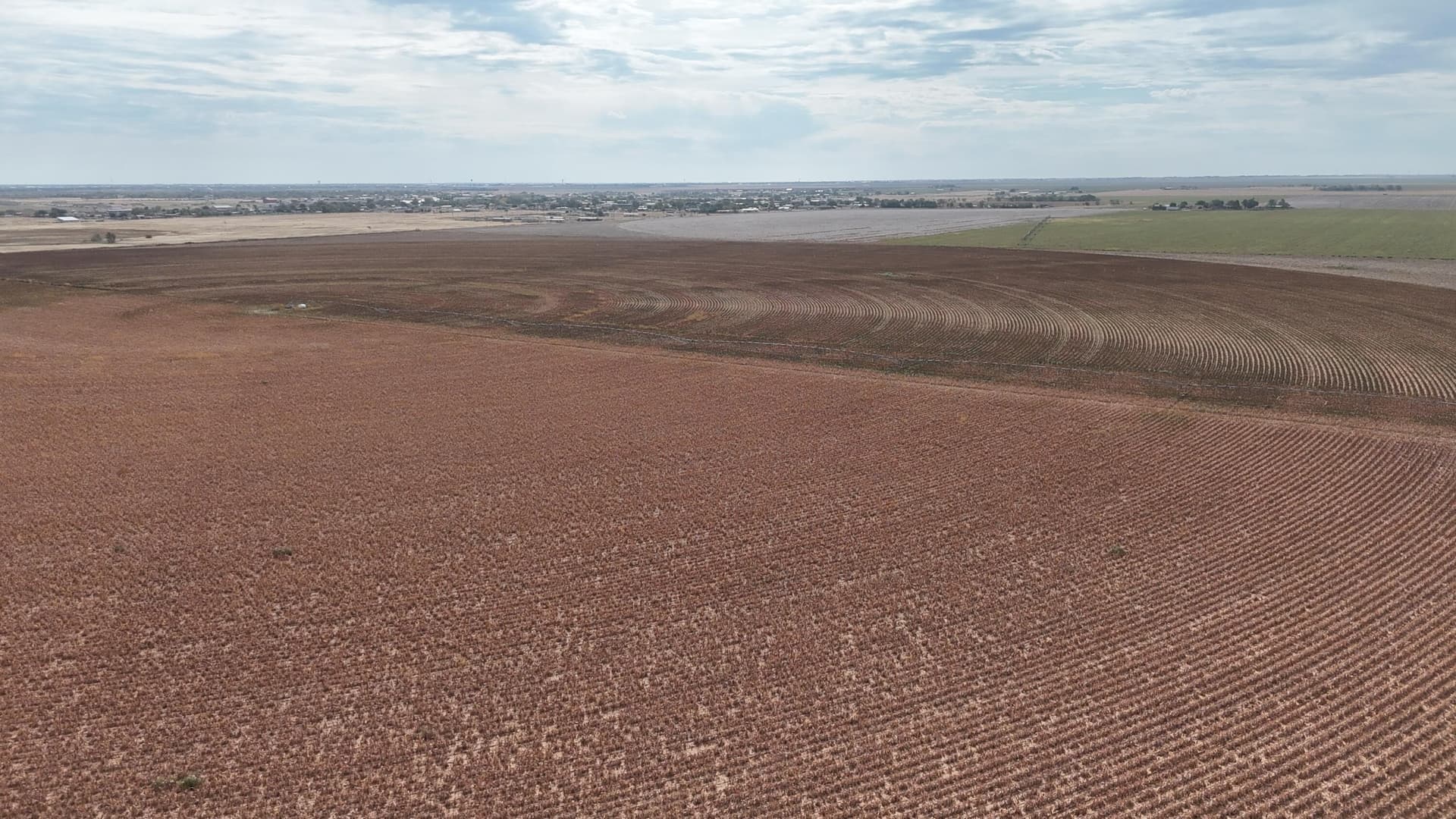 10.01 acres in Lubbock County featured view