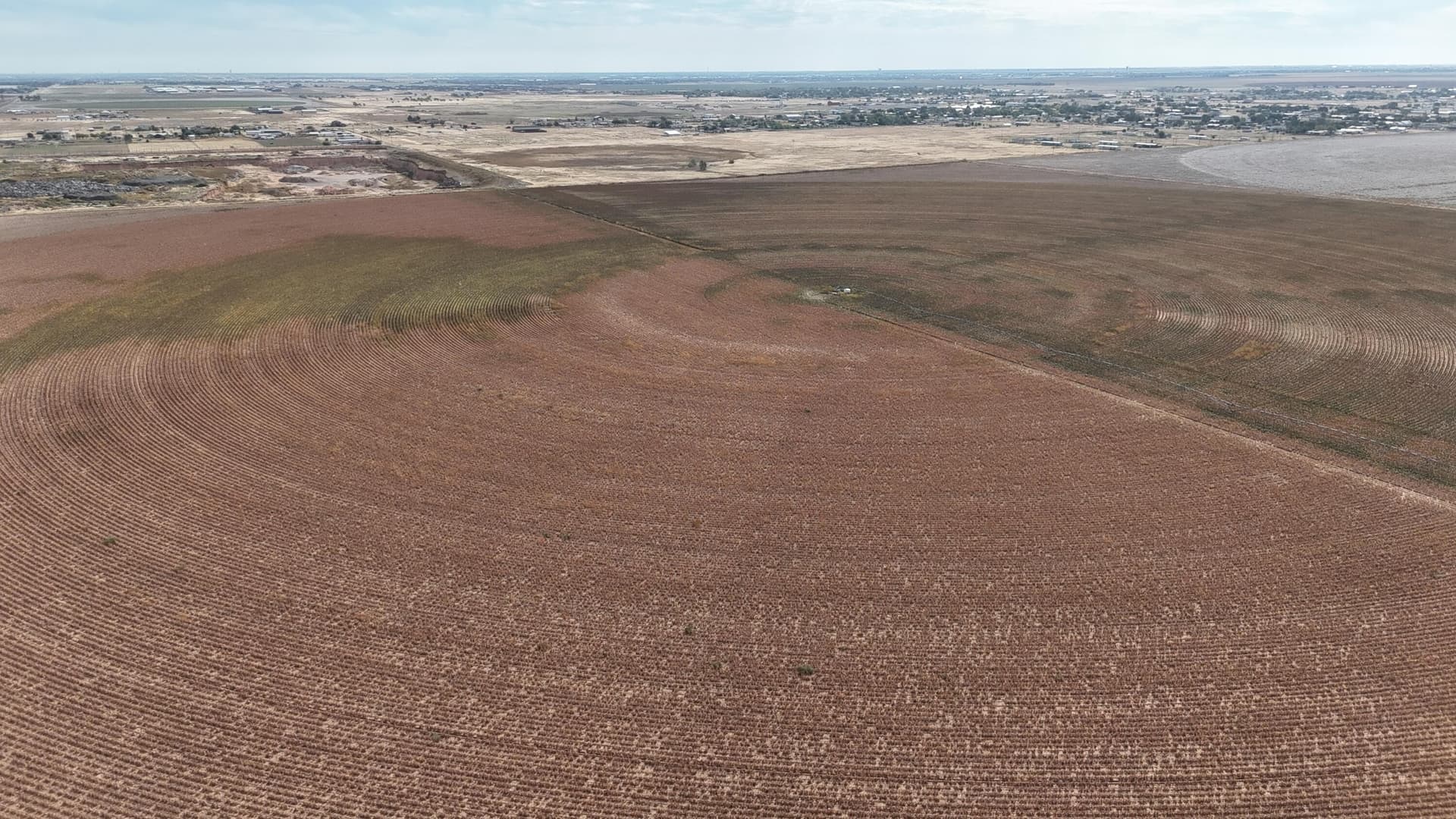 10.01 acres in Lubbock County gallery image 4