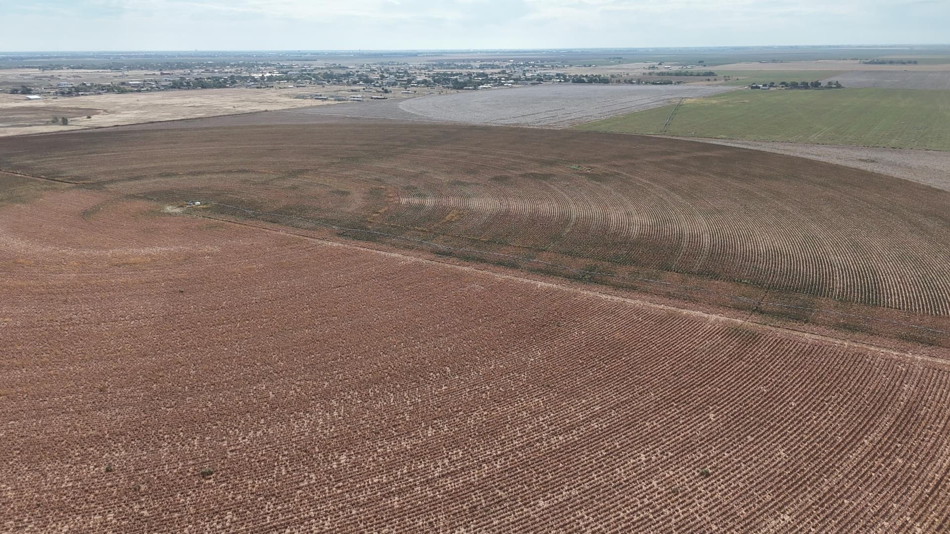 10.01 acres in Lubbock County gallery image 3