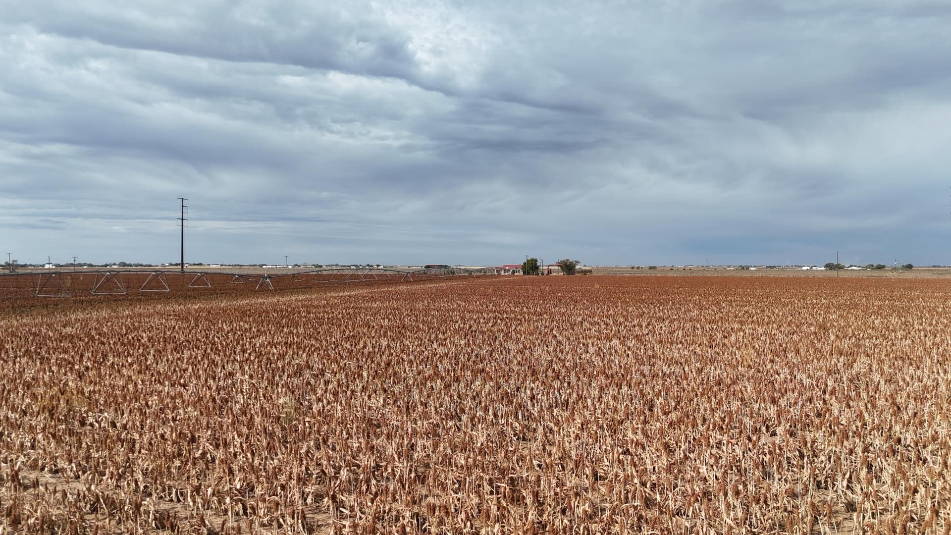 10.01 acres in Lubbock County gallery image 2