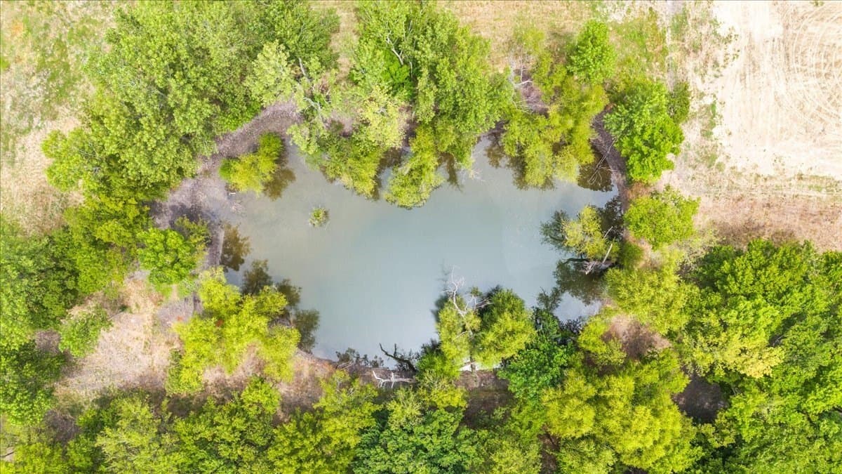 5.72 acres in Grayson County featured view