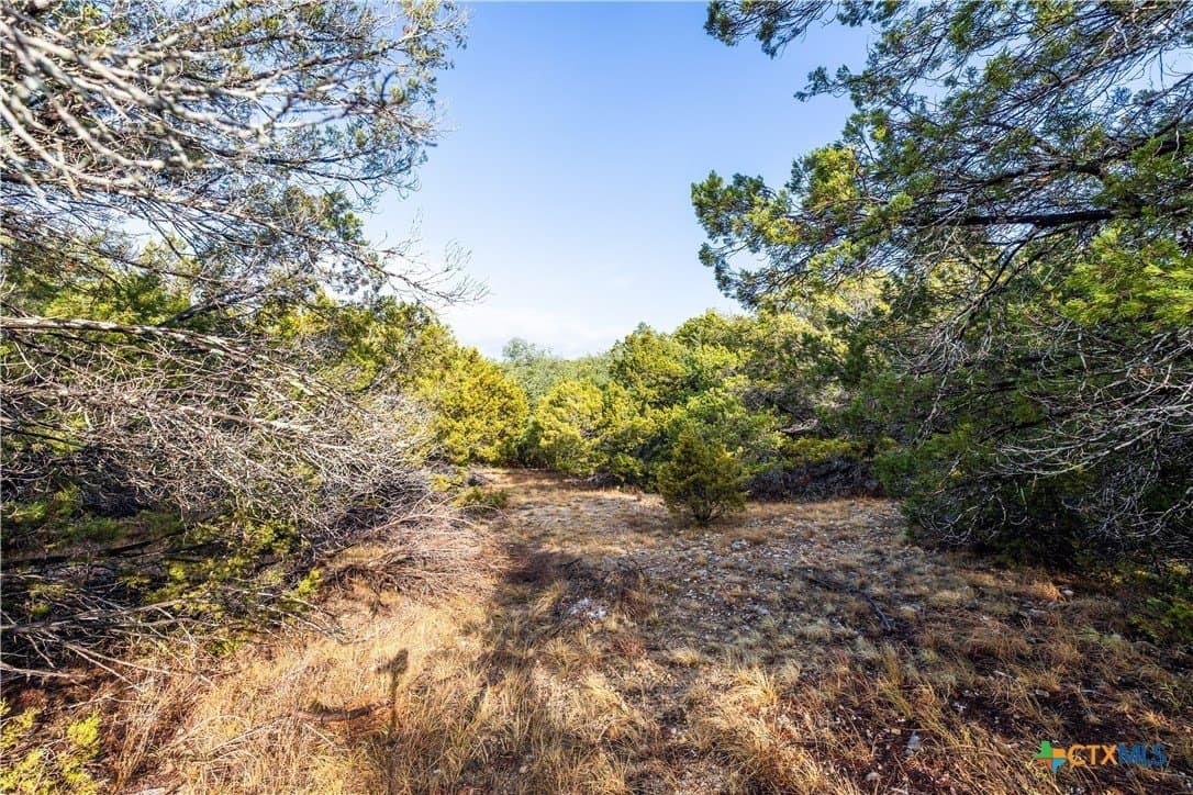 0.59 acres in Travis County featured view