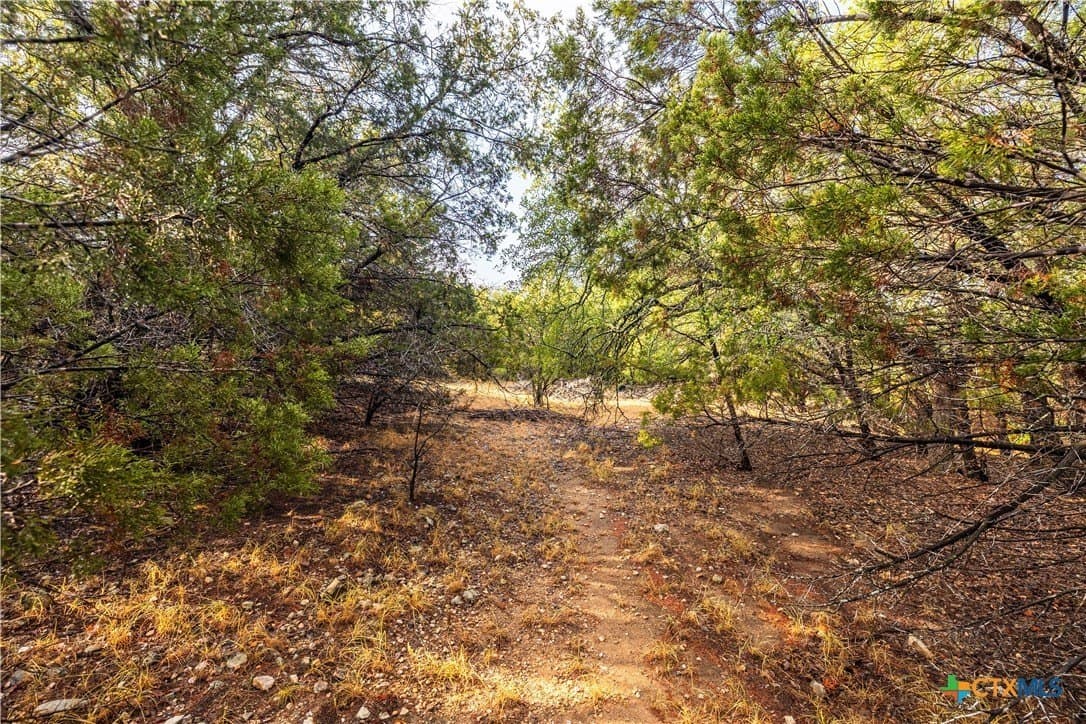 0.59 acres in Travis County gallery image 4