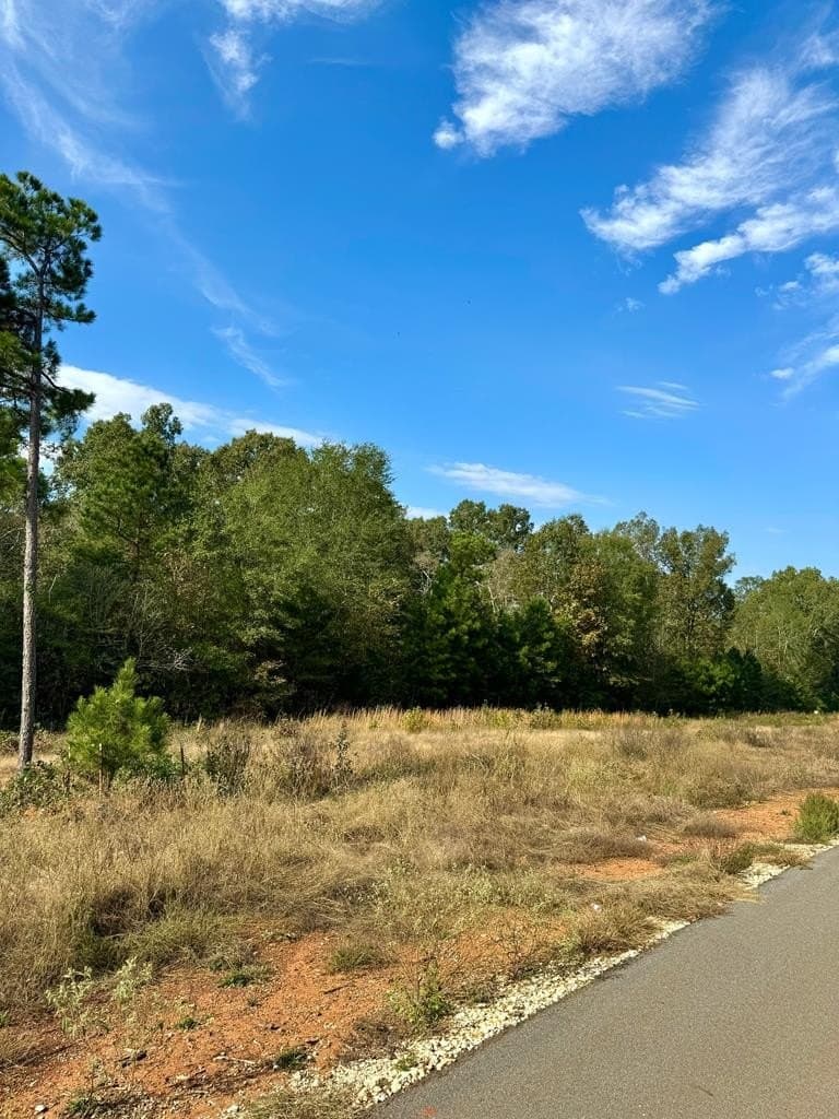 5 acres in Texas County - photo 7