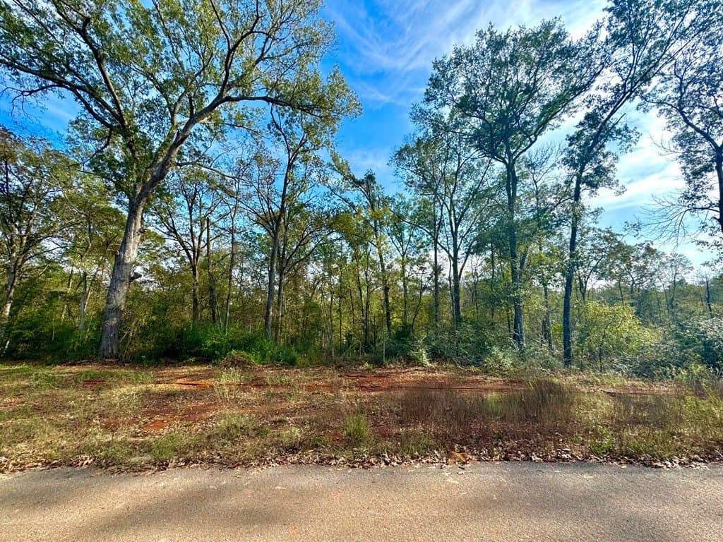 5 acres in Texas County - photo 6