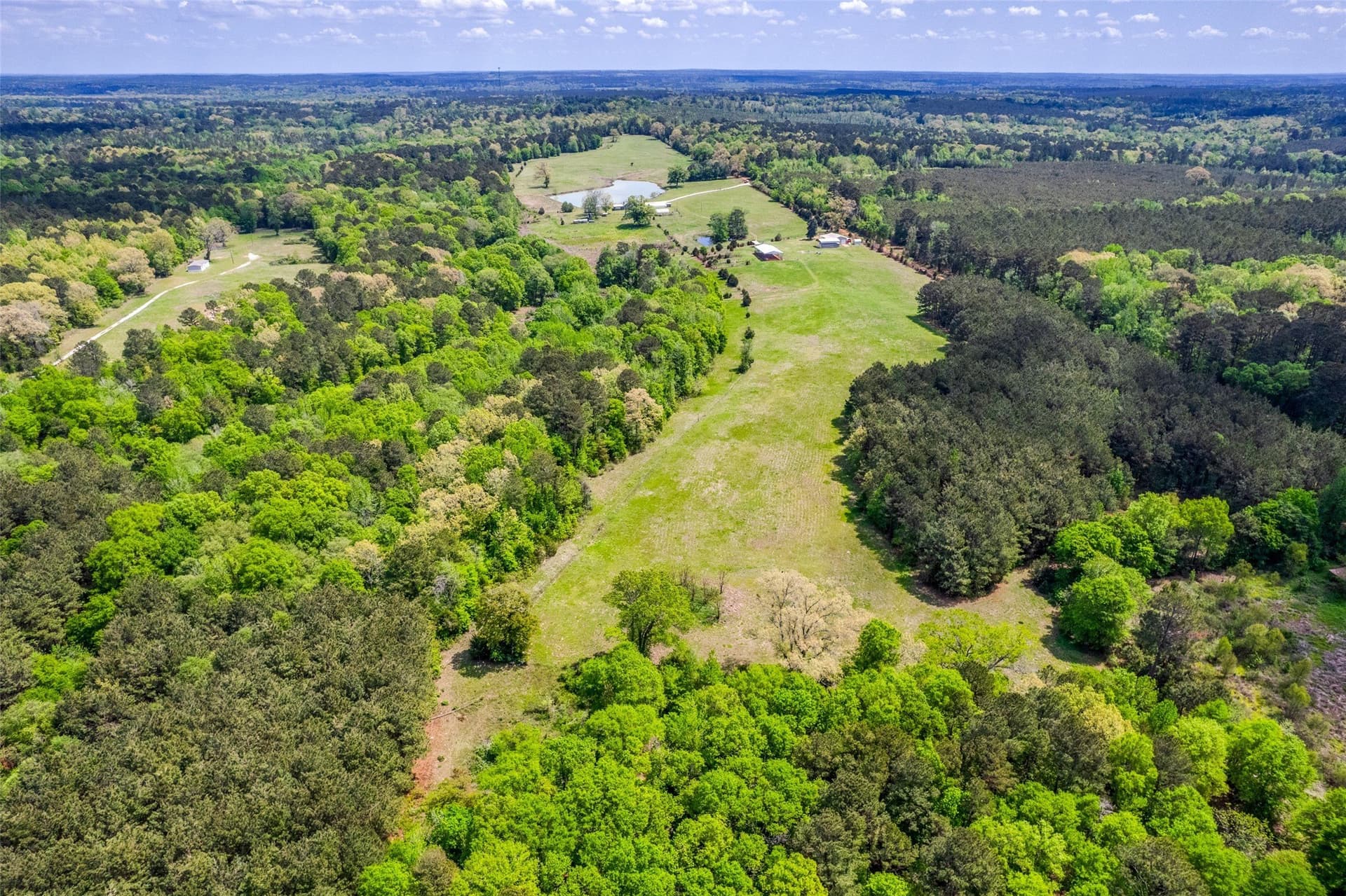77.13 acres in Cass County - photo 23
