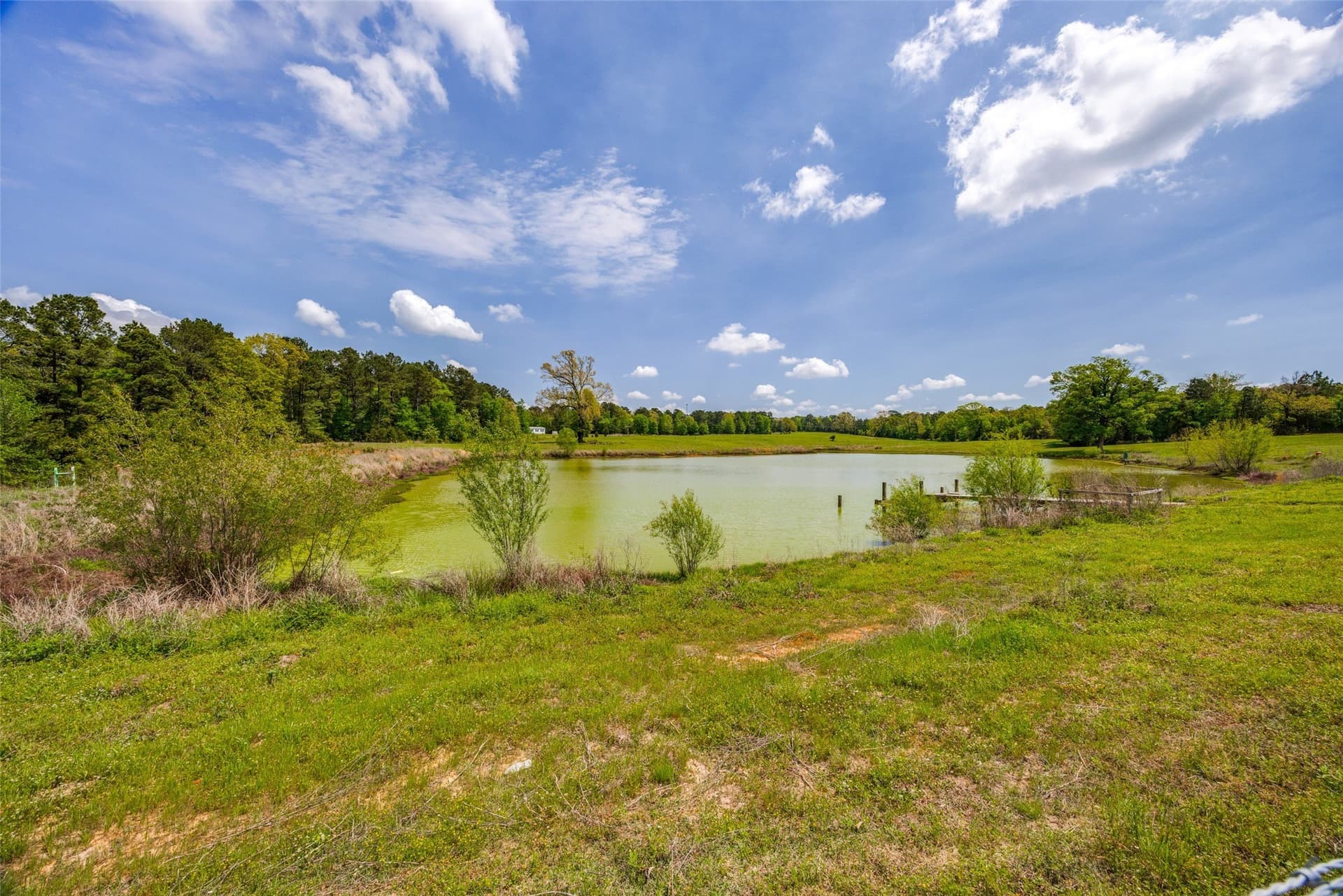 77.13 acres in Cass County - photo 30