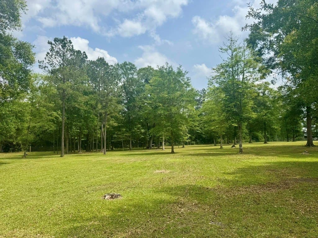 3 acres in Texas County gallery image 3