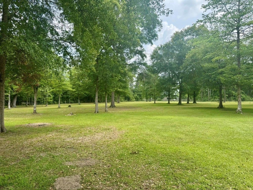 3 acres in Texas County gallery image 4