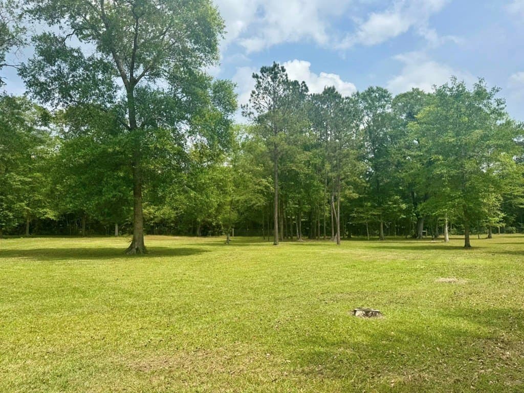 3 acres in Texas County gallery image 2